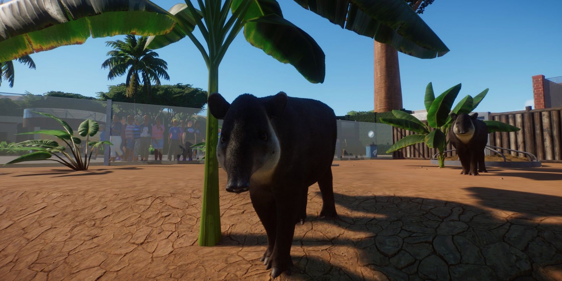 planet zoo beta release date