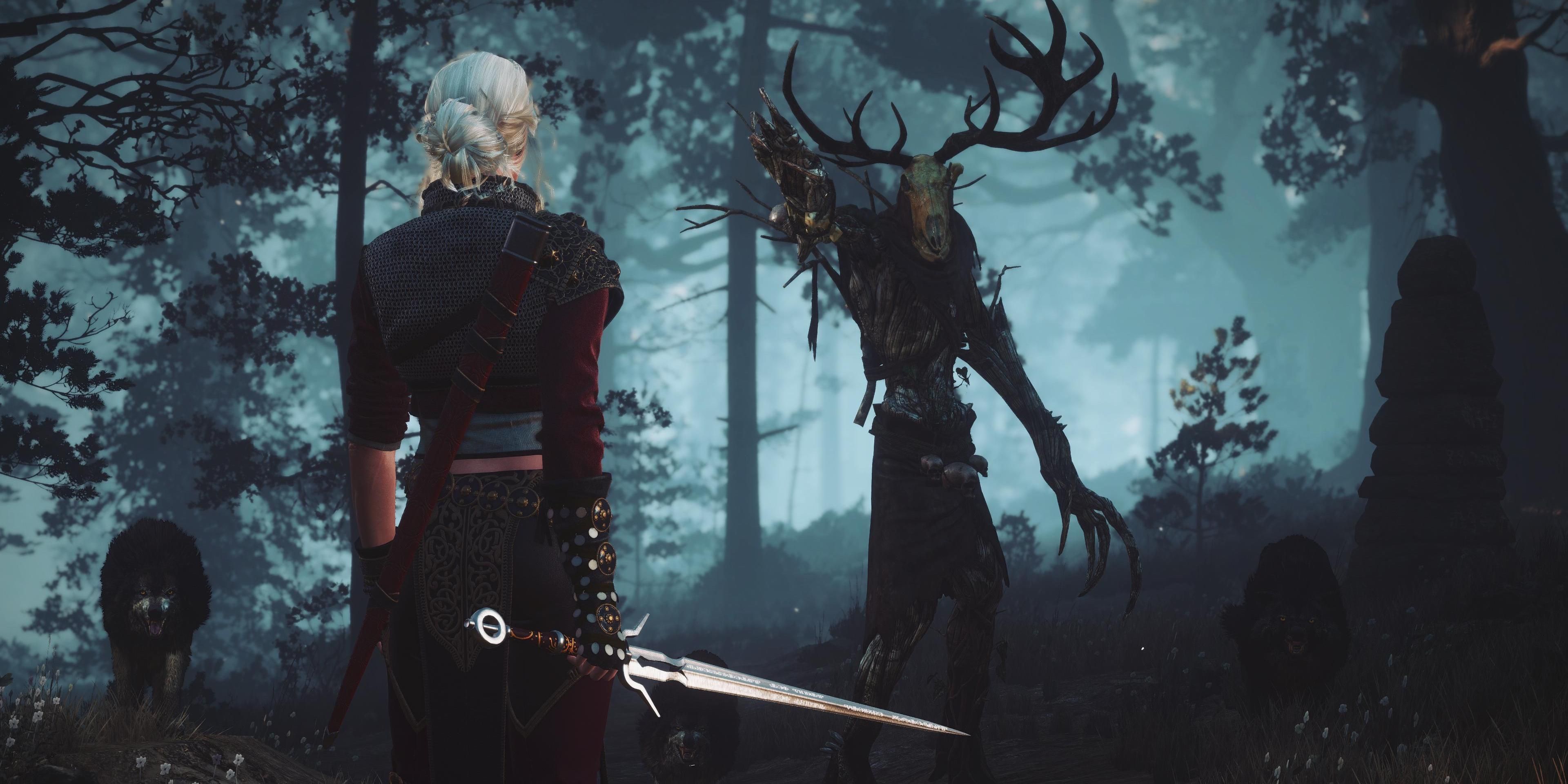 Learn From The Pros 10 Awesome Things Players Can Do In The Witcher 3