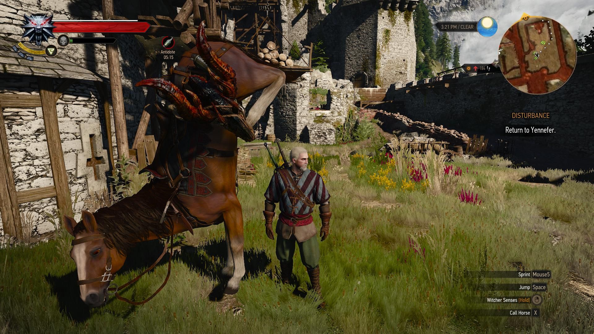 the-witcher-3-roach