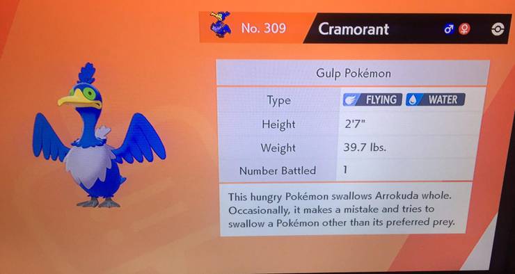Pokémon Sword Shield Cramorant Might Eat Pikachu Thegamer