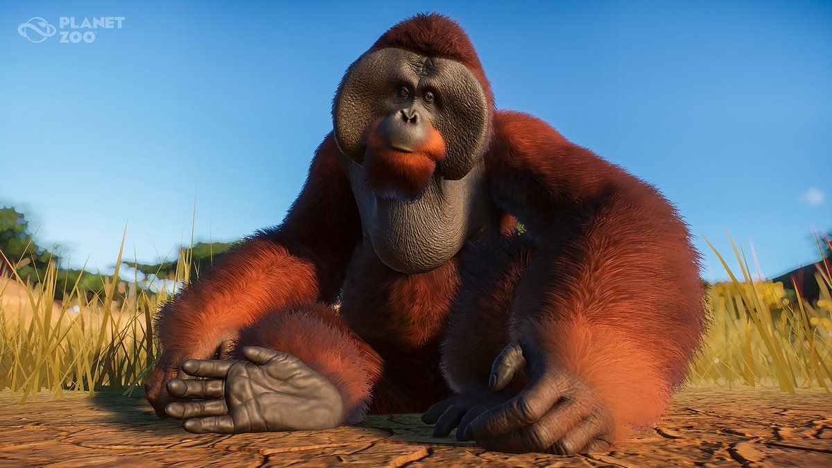 Planet Zoo: 11 Most Popular Animal Attractions And 4 Least Popular