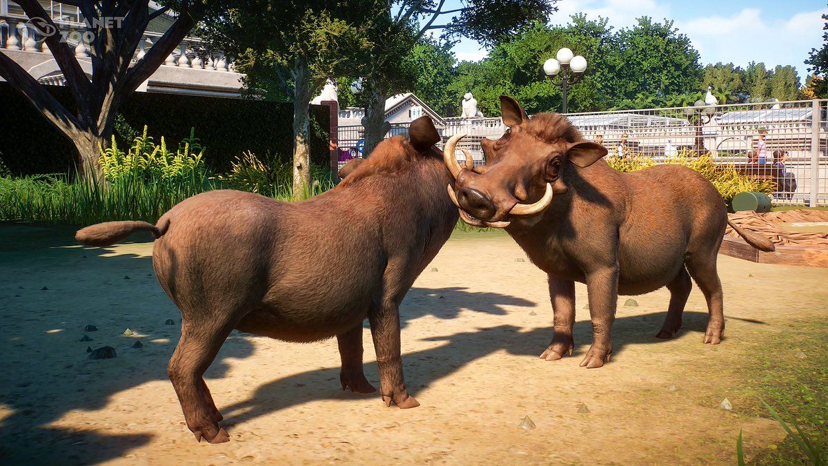 Planet Zoo: 11 Most Popular Animal Attractions And 4 Least Popular