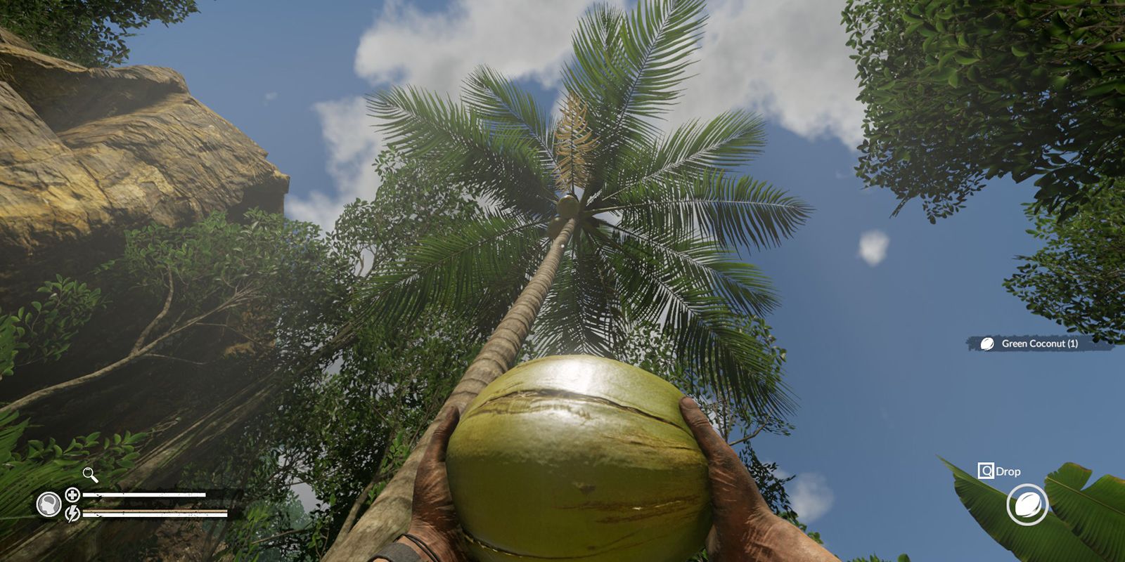 Green Hell Coconut
