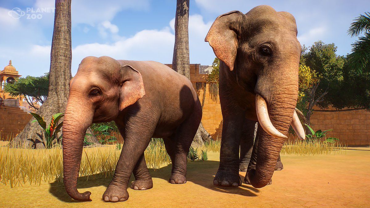 Planet Zoo: 11 Most Popular Animal Attractions And 4 Least Popular