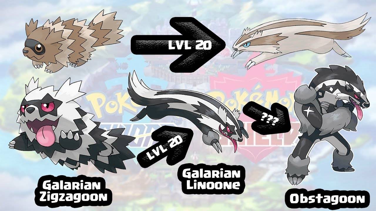 How To Evolve Zigzagoon To Obstagoon In Pokémon Sword & Shield