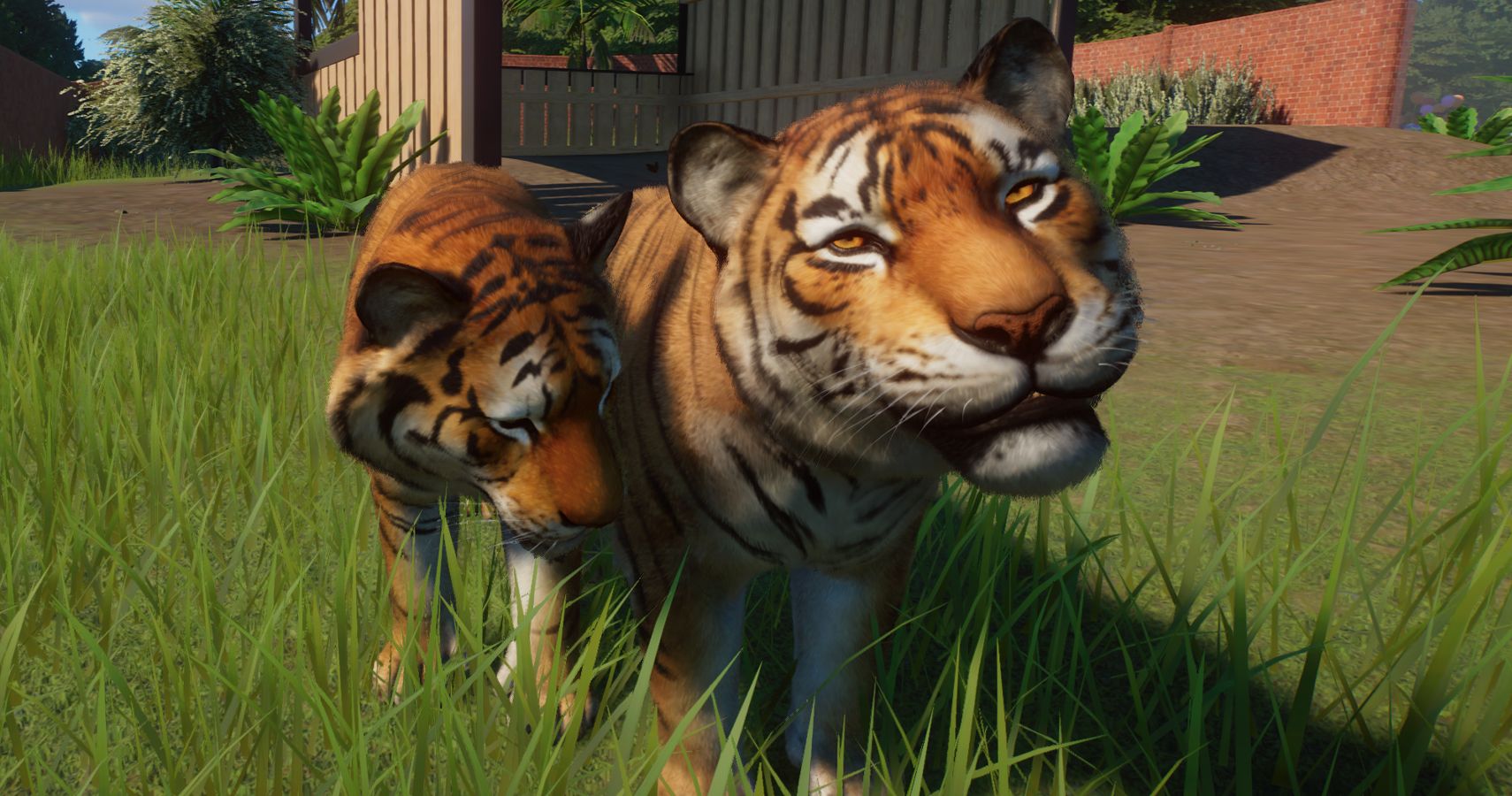 Planet Zoo Review Grab A Shovel Youre About To Get In Deep