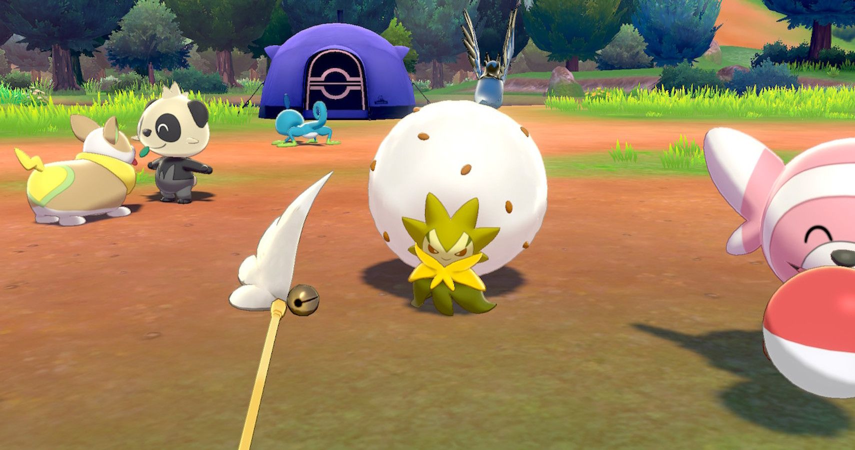 Pokémon Sword & Shield - Pokémon Camp