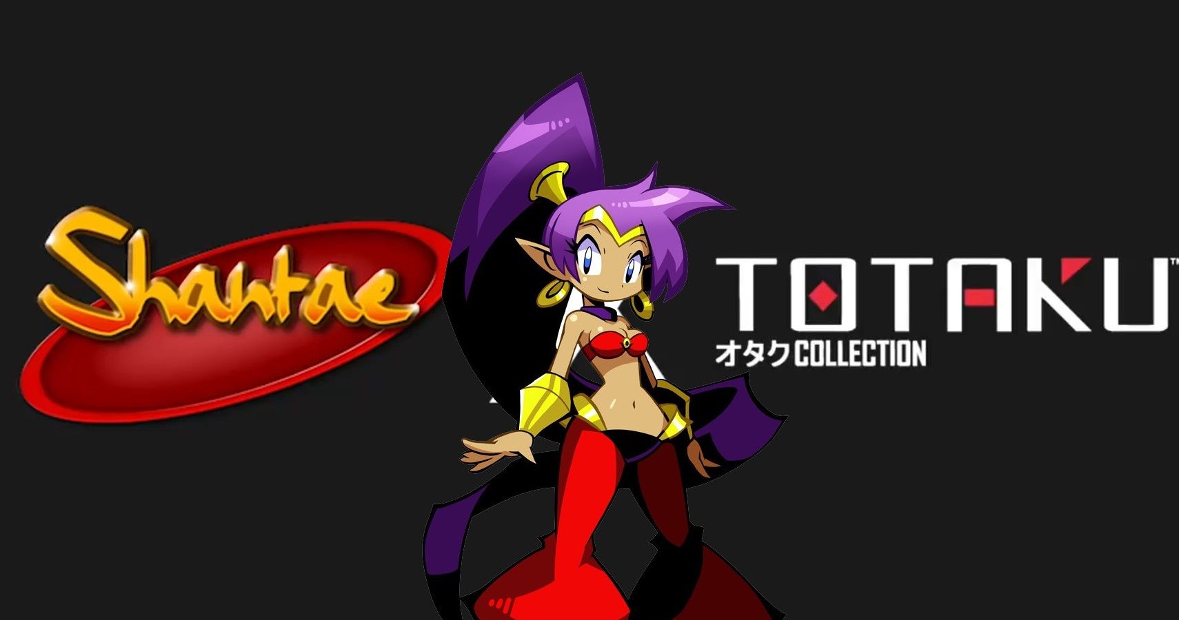 shantae totaku