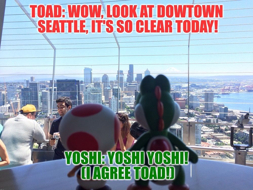 Yoshi and Toad Seattle