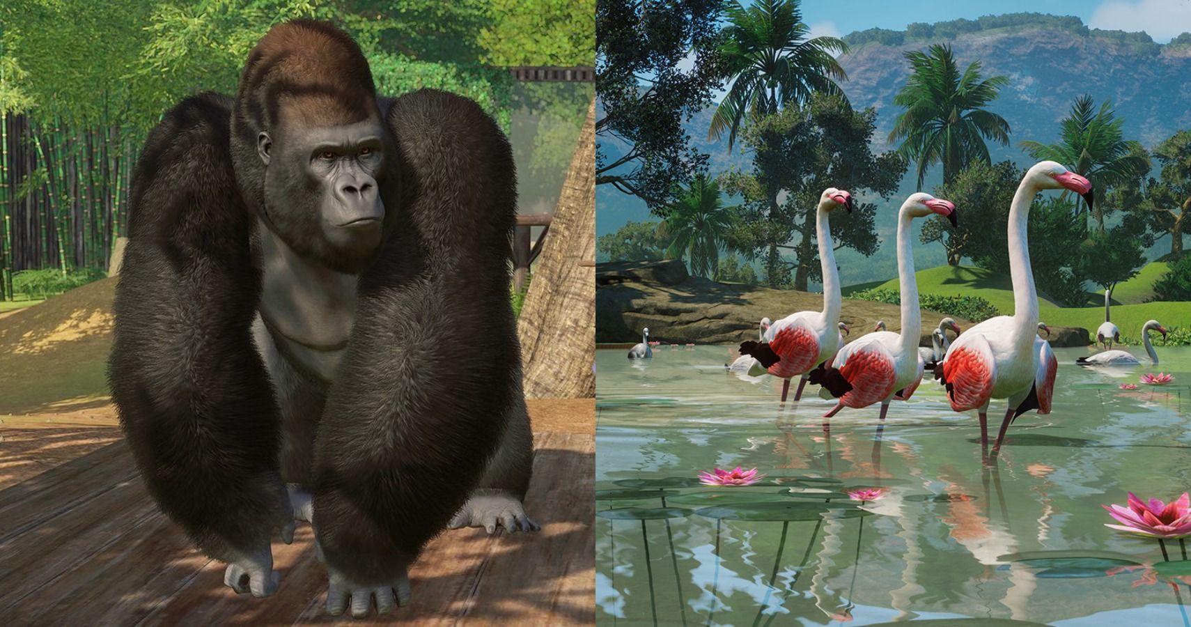 Planet Zoo: 11 Most Popular Animal Attractions And 4 Least Popular