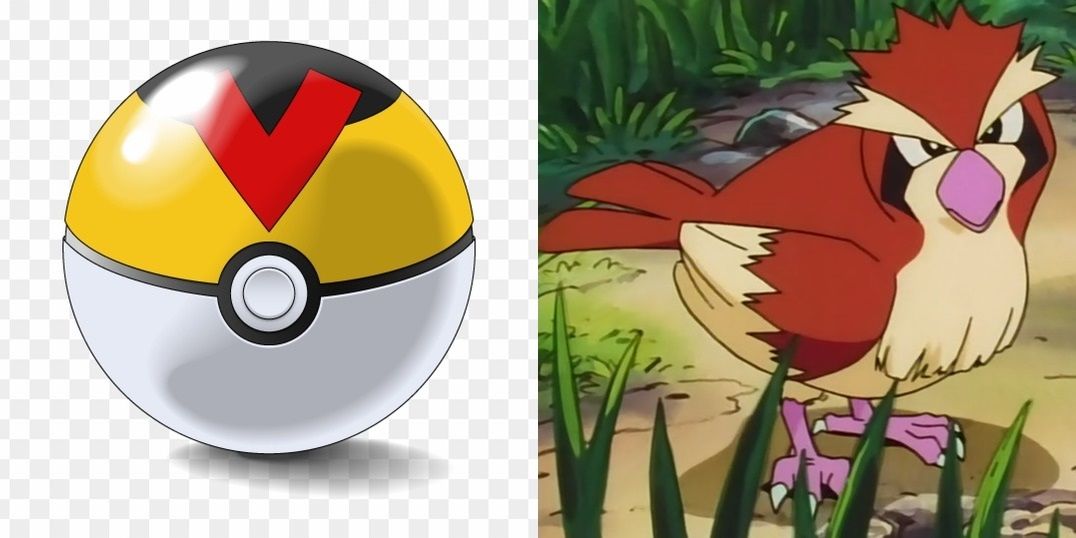 Pokémon: Every Gen II Apricorn Ball & What It's Used For