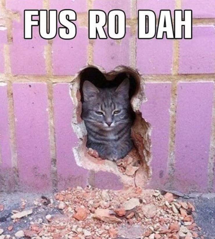 Skyrim 10 Khajiit Memes That Are Too Hilarious For Words