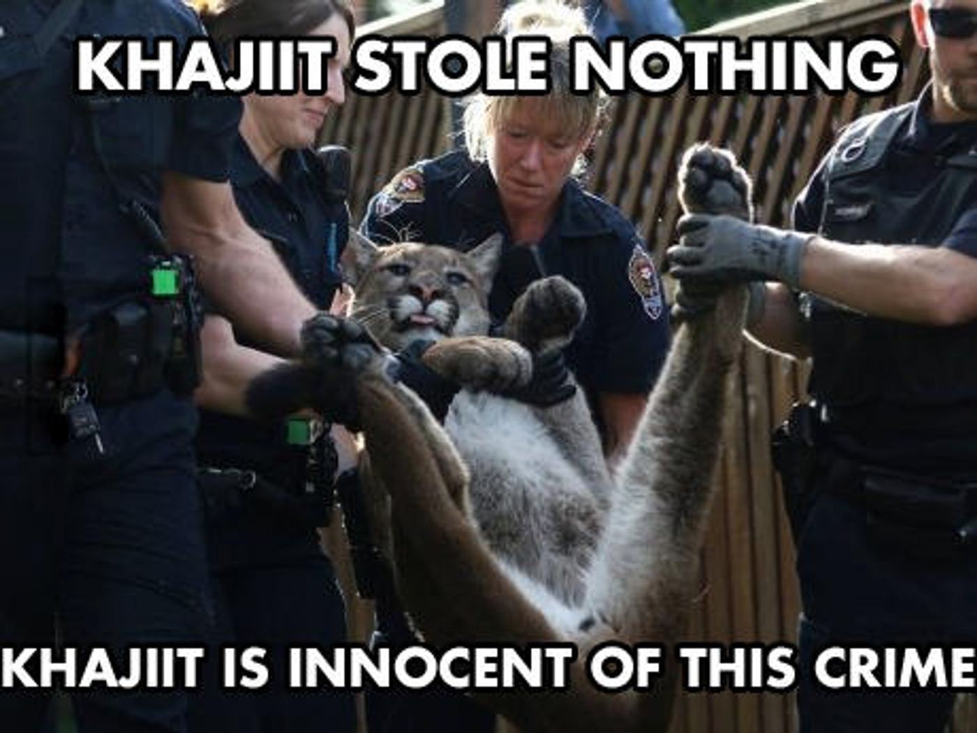 Skyrim 10 Khajiit Memes That Are Too Hilarious For Words