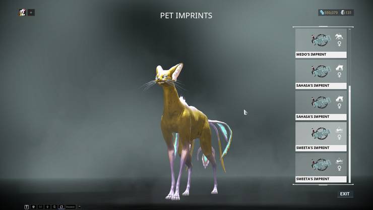 Warframe Top 10 Companions Ranked Thegamer