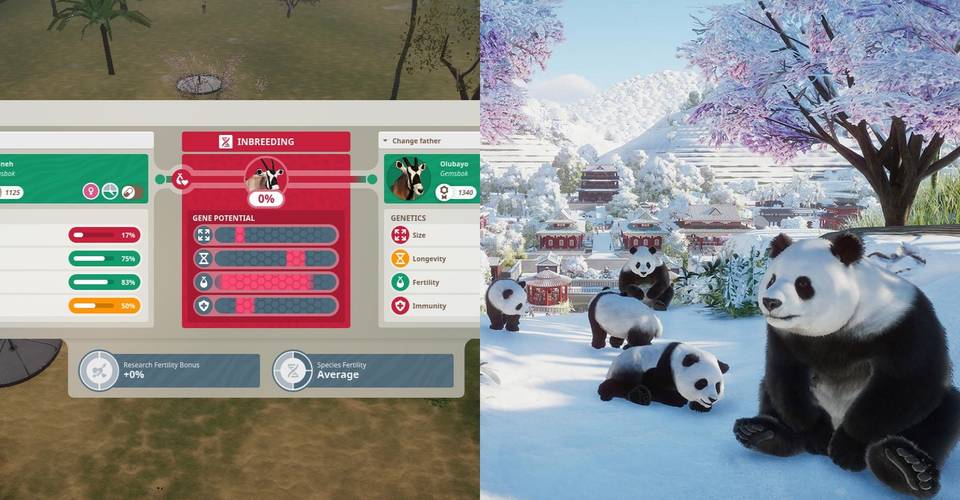 Breeding Guide Planet Zoo Inbreeding Albino Tips