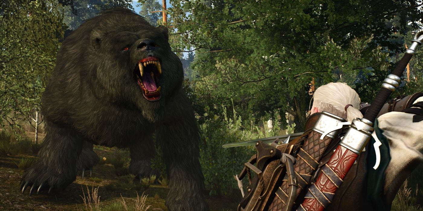 Bear in Witcher 3