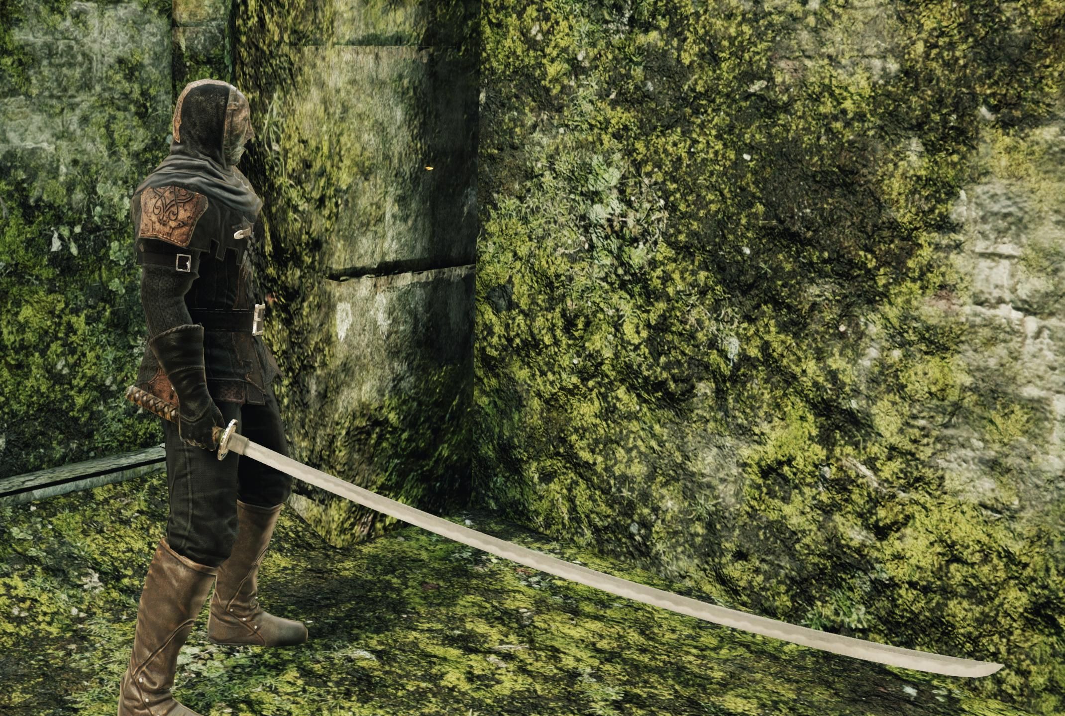 washing pole dark souls        
        <figure class=