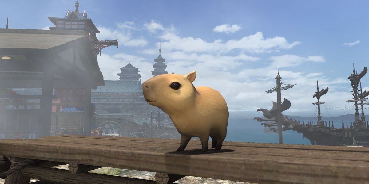 Capybara minion in Final Fantasy 14