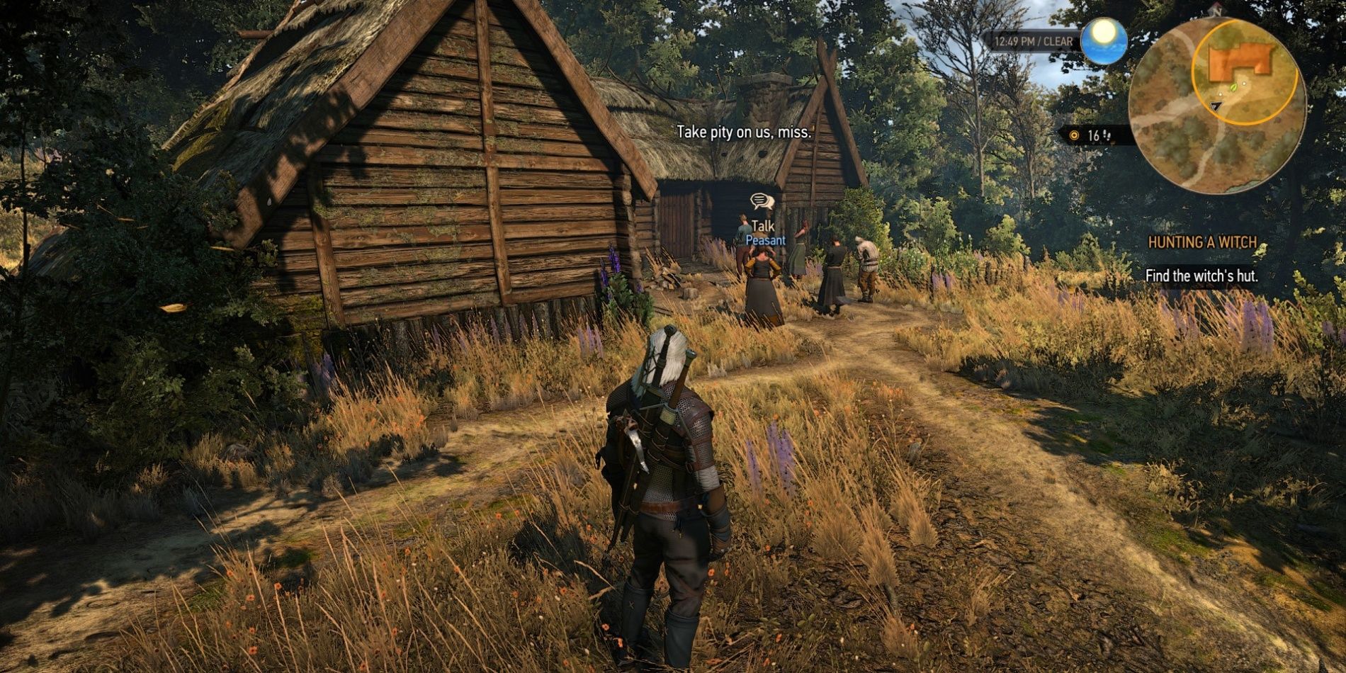 Witcher 3 Geralt Keira Metz Hut
