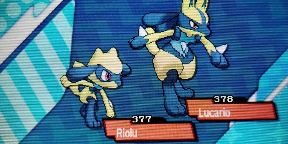 Shiny Lucario, Pokémon