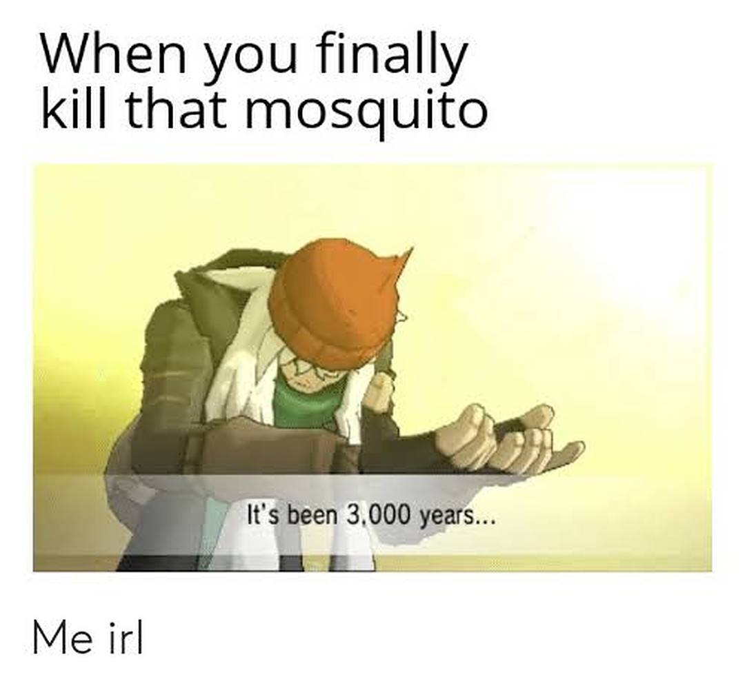 Pokemon 9 It S Been 3000 Years Memes That Are Too Hilarious For Words Pokemon 9 It S Been 3000 Years Memes That Are Too Hilarious For Words