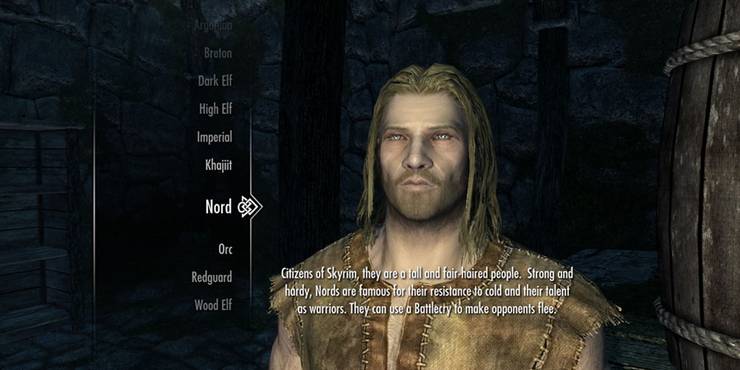 Skyrim The Top 10 Gameplay Mods So Far Thegamer