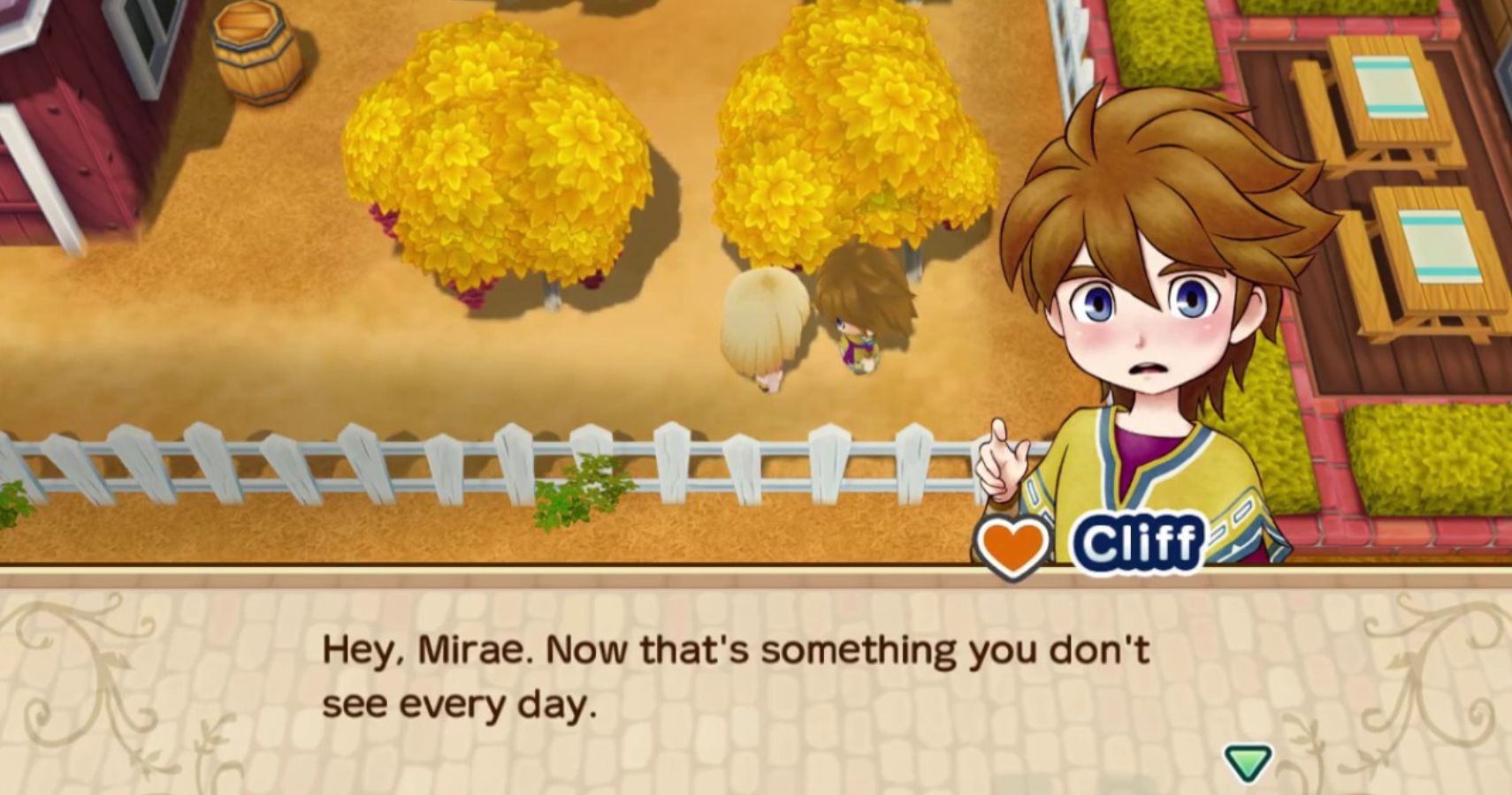 Story of Seasons Friends of Mineral Town All The Marriage Partners Ranked