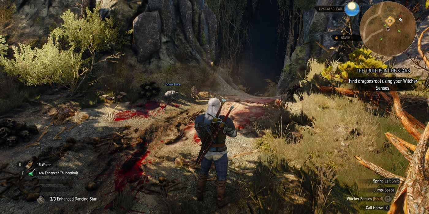 A killer rabbit in The Witcher 3