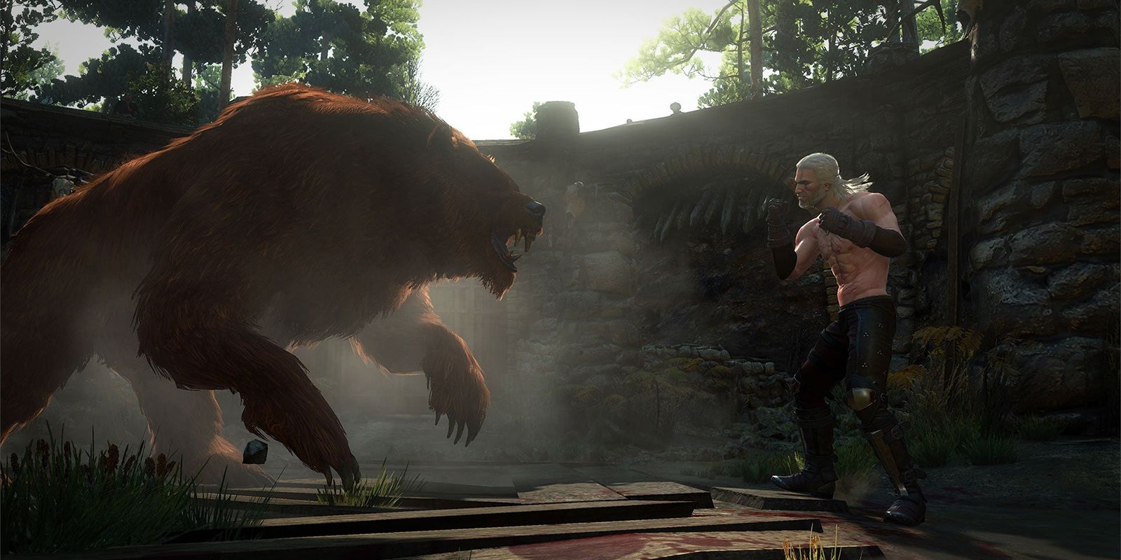 Witcher 3 Boxing Bear