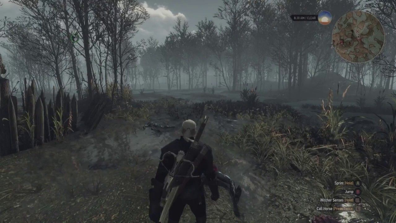 absolute camera witcher 3