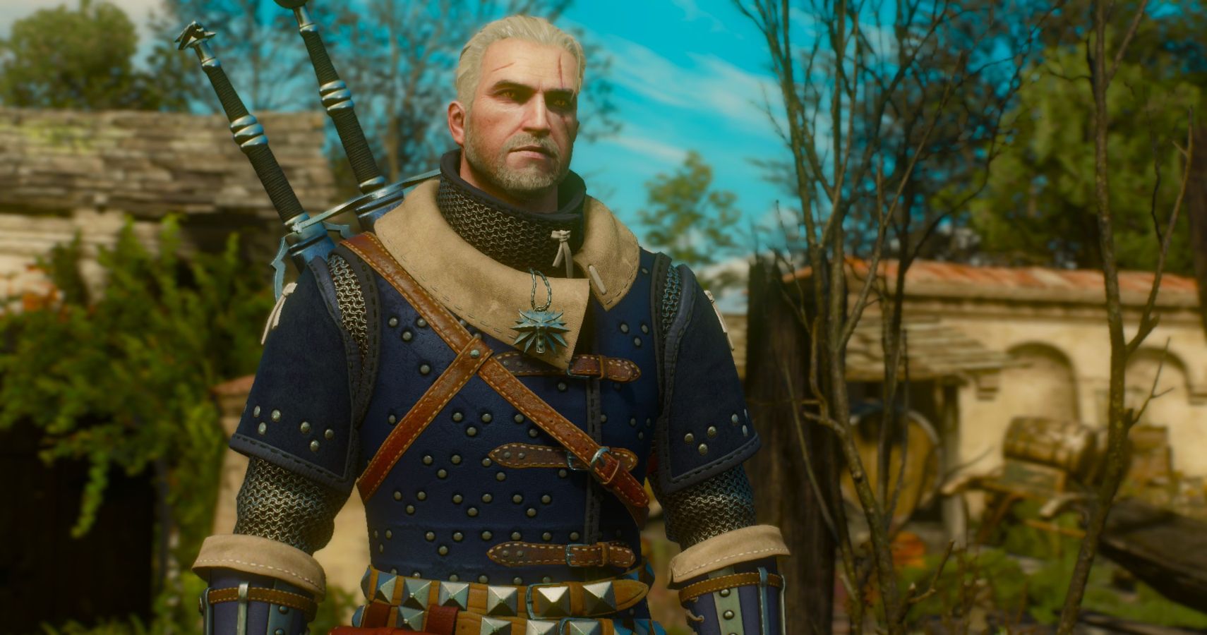 Сет кота. Feline Armor Witcher 3. Witcher 3 Armor. Witcher 3 Witcher Armor. Witcher 3 Armor Sets.