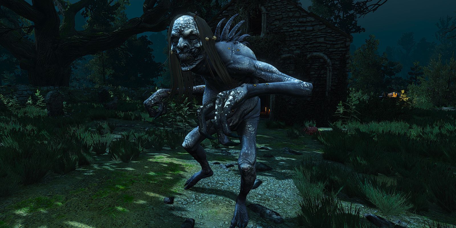 Witcher 3 Grave Hag