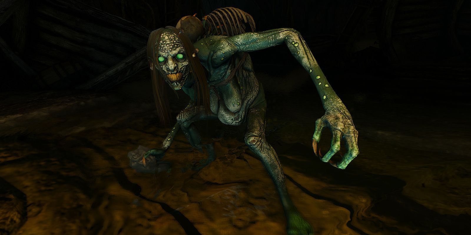 Witcher 3 Water Hag