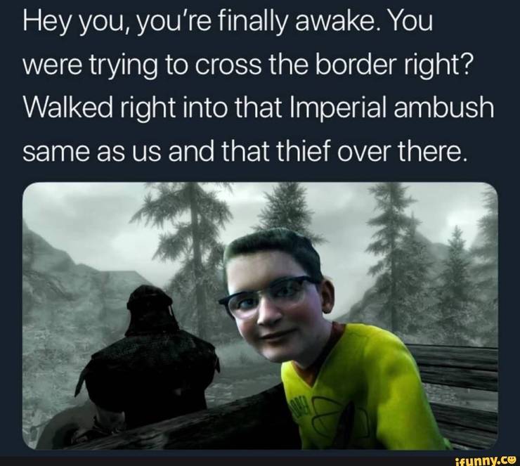 Skyrim 10 Most Hilarious You Re Finally Awake Memes Thegamer