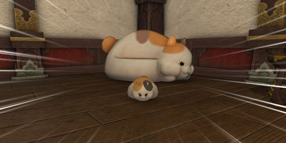 Cat from Final Fantasy 14