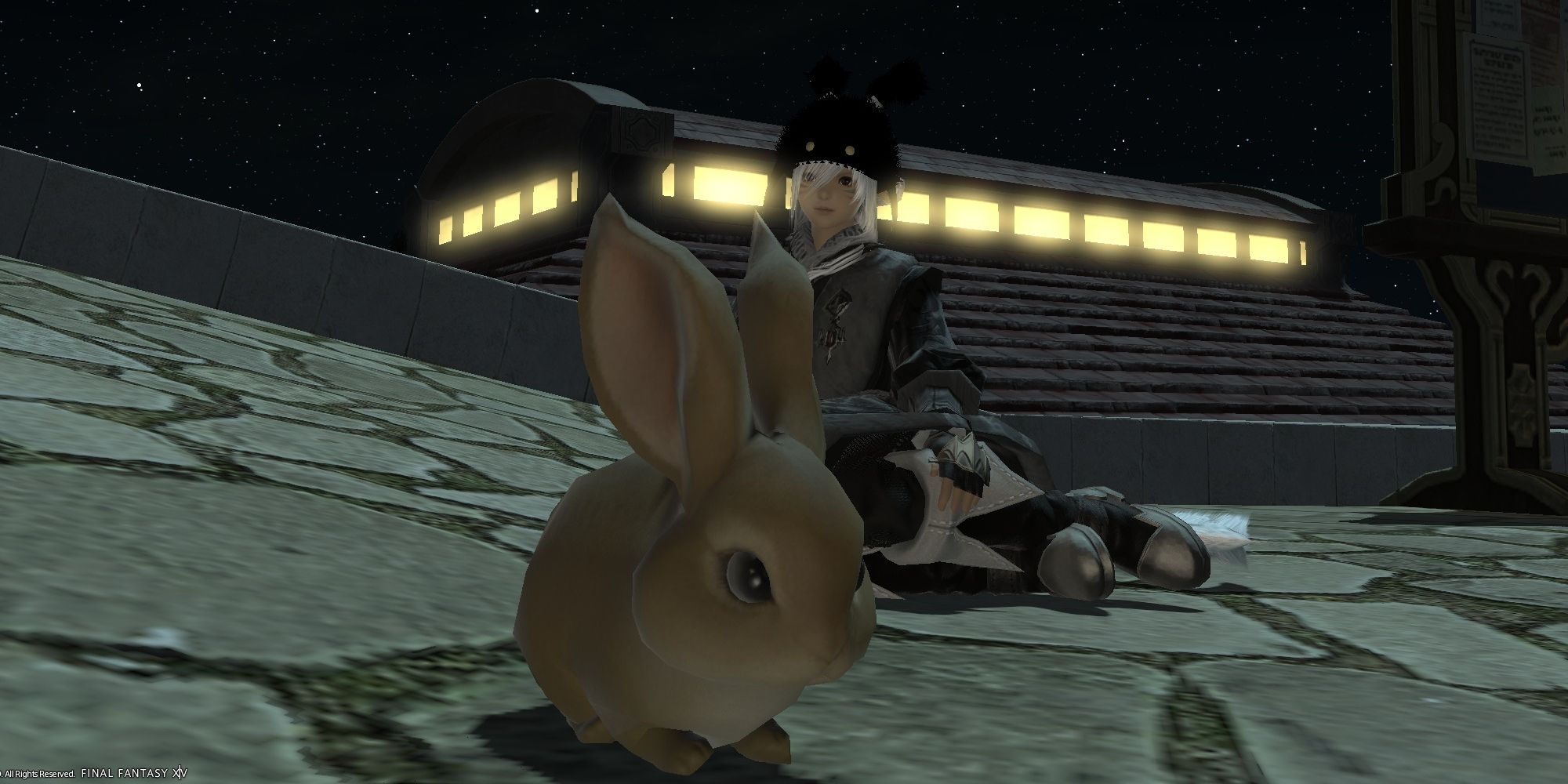 Bunny in Final Fantasy 14