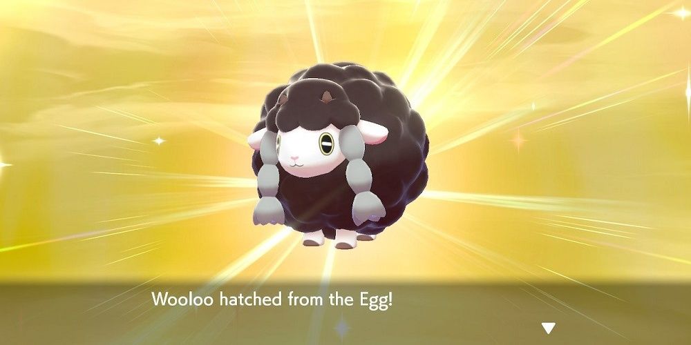 shiny wooloo pokemon