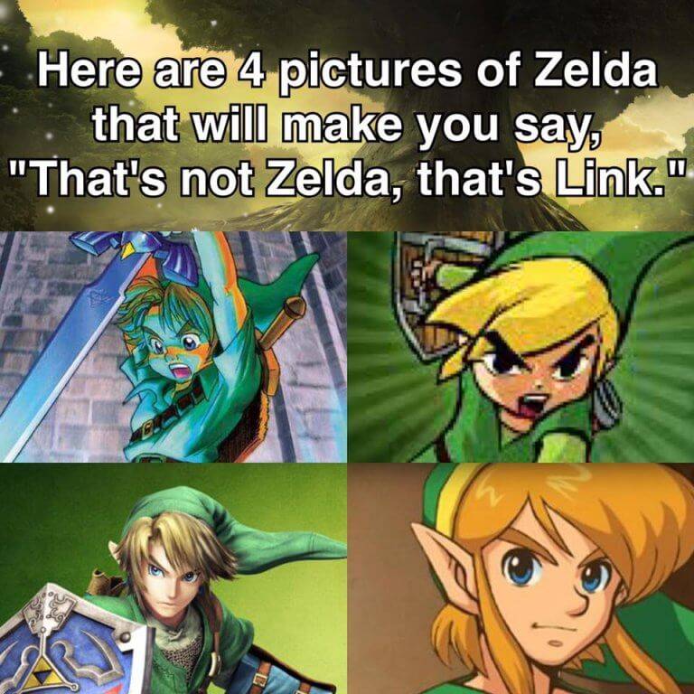 10 Most Hilarious Memes About People Mistaking Link For Zelda 10 Most Hilarious Memes About People Mistaking Link For Zelda