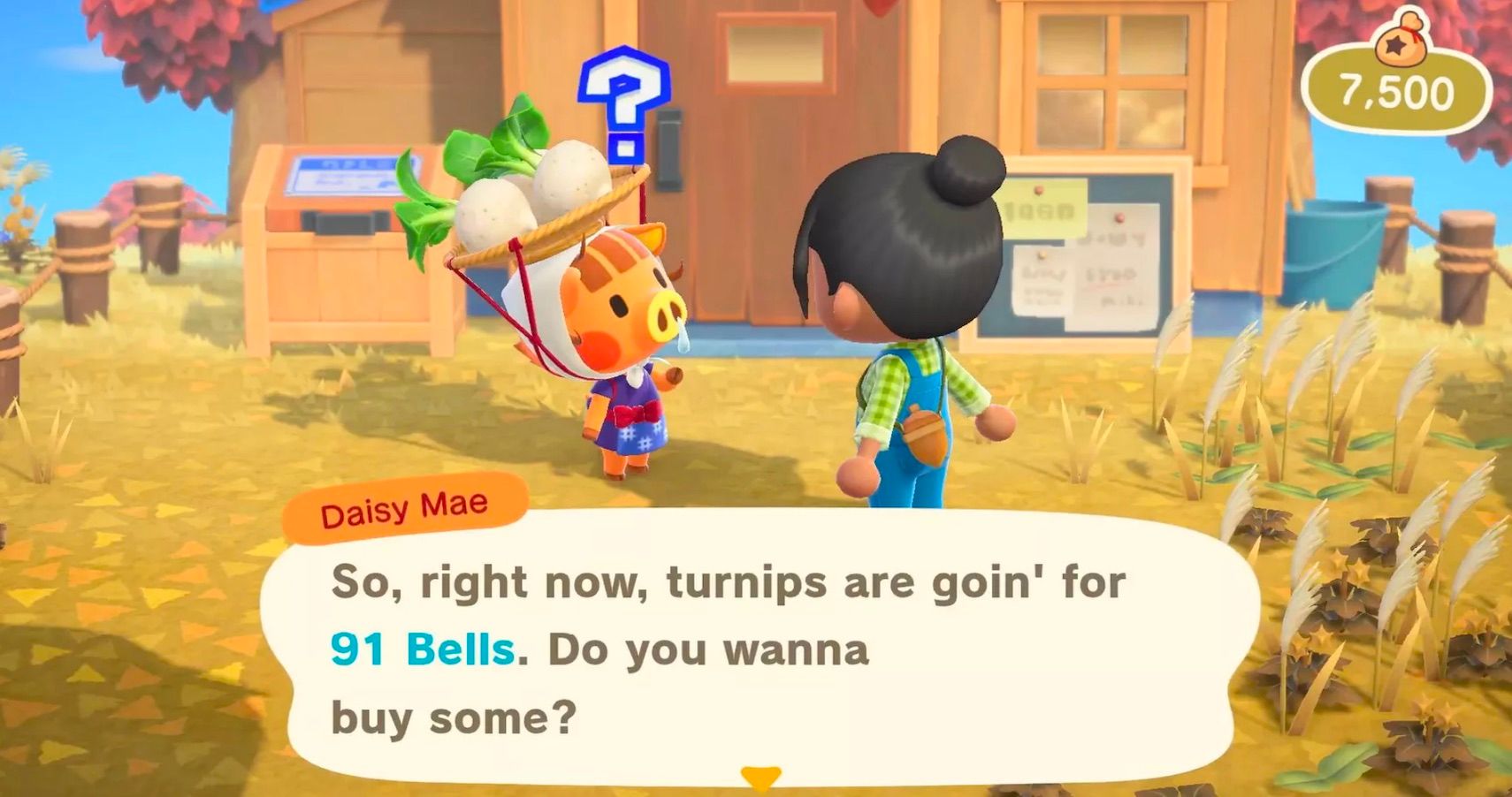Animal Crossings Friendship With Joan Is Over Daisy Mae Is Their New Best Boar