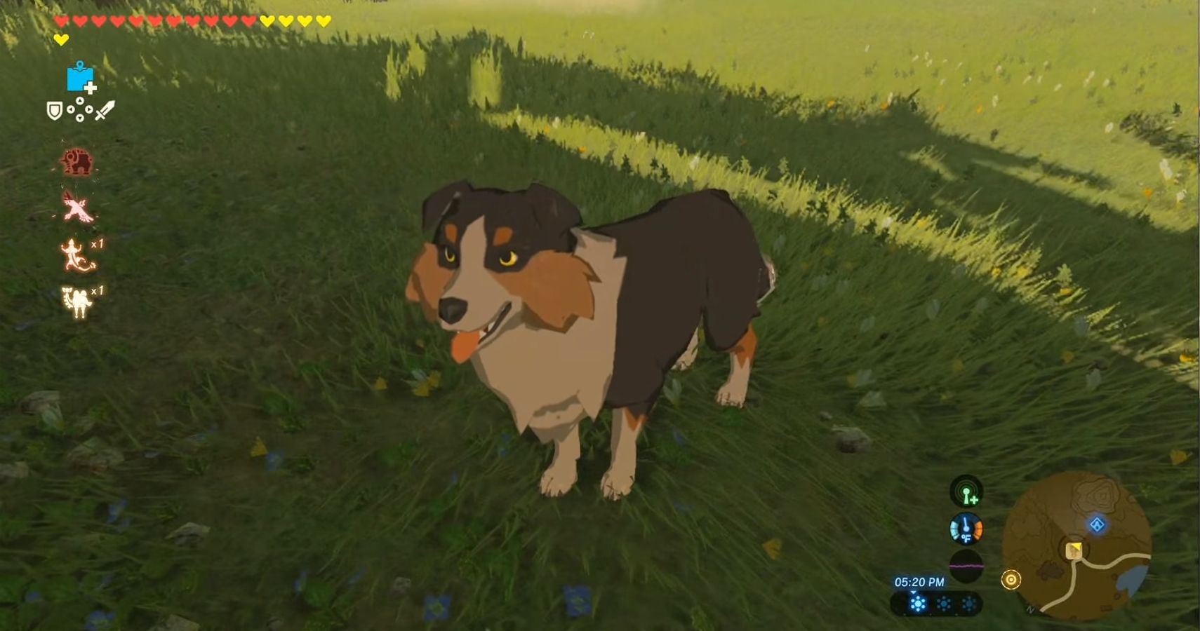 breath of the wild dogs