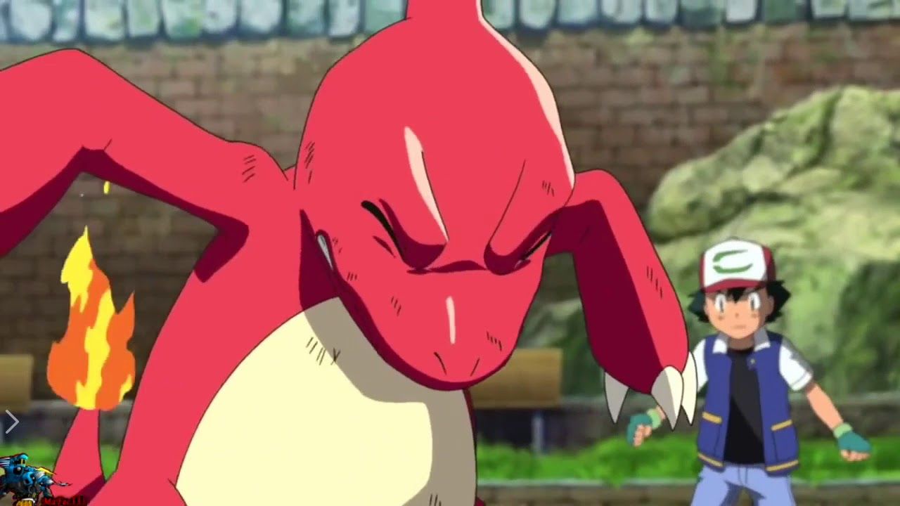 Charmeleon in the Pokemon anime