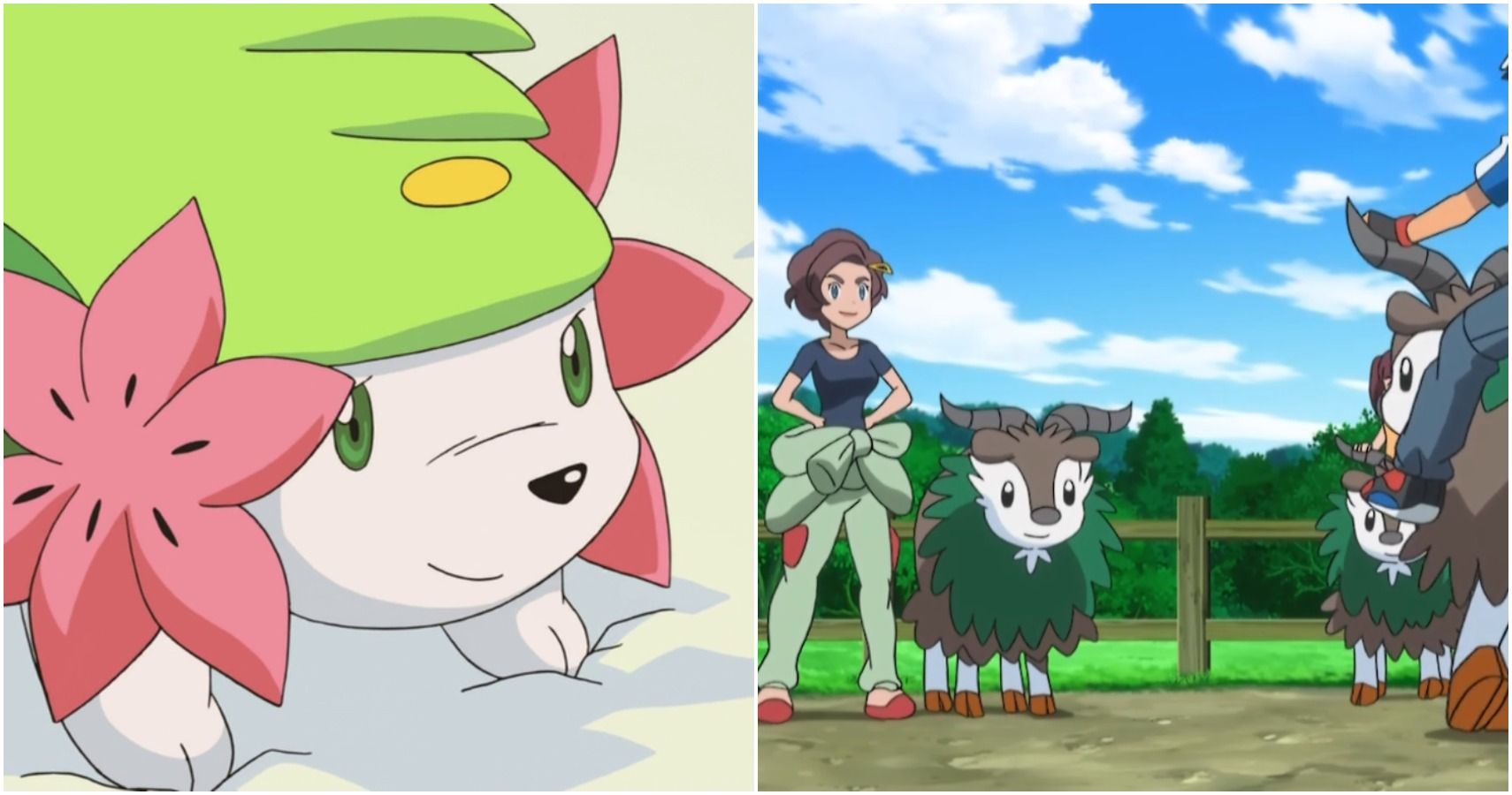 Discover The Cutest Pokemon Cute Grass Type That Will Make You Smile!