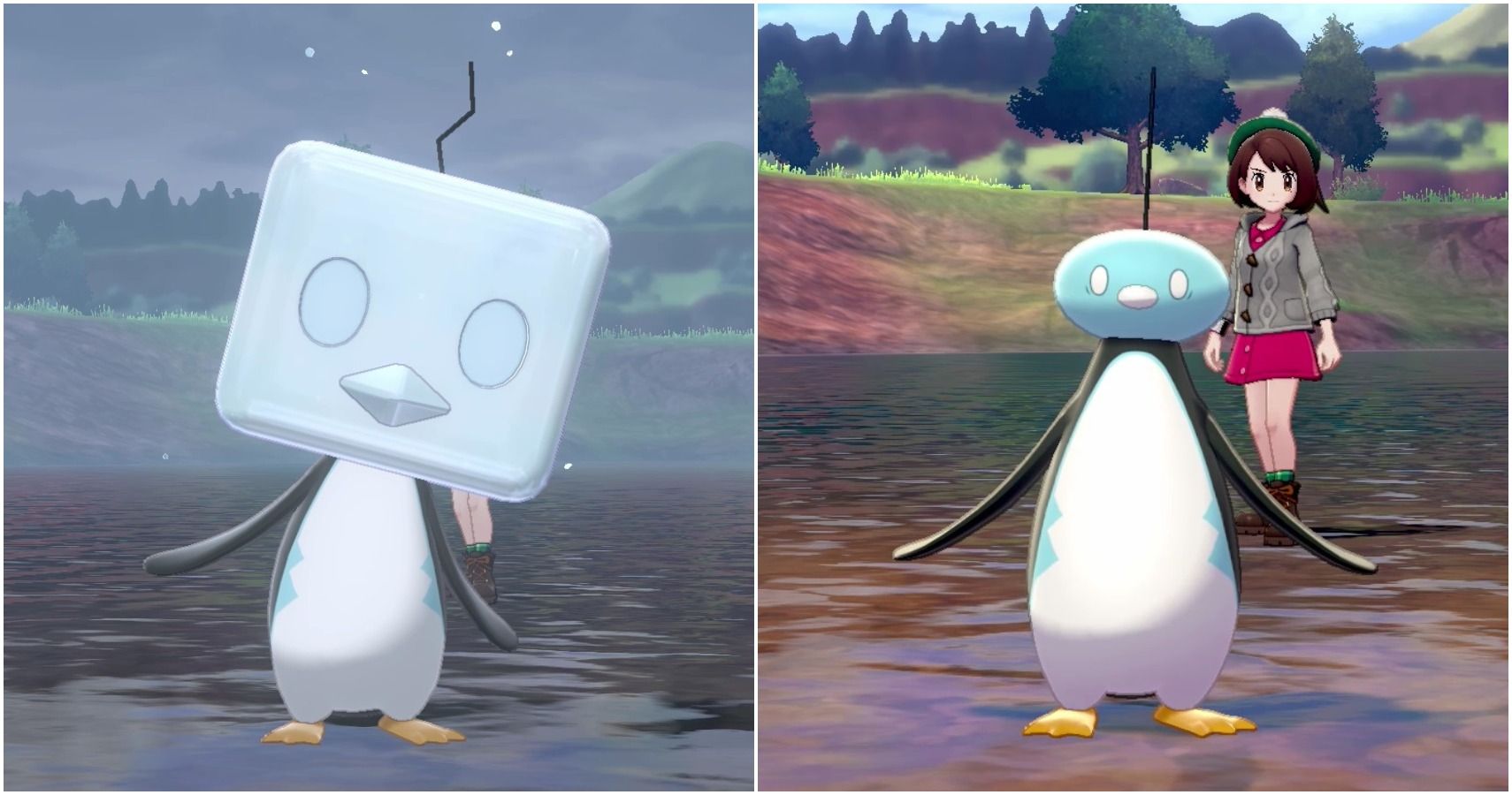 Eiscue  Pokémon Sword e Pokémon Shield