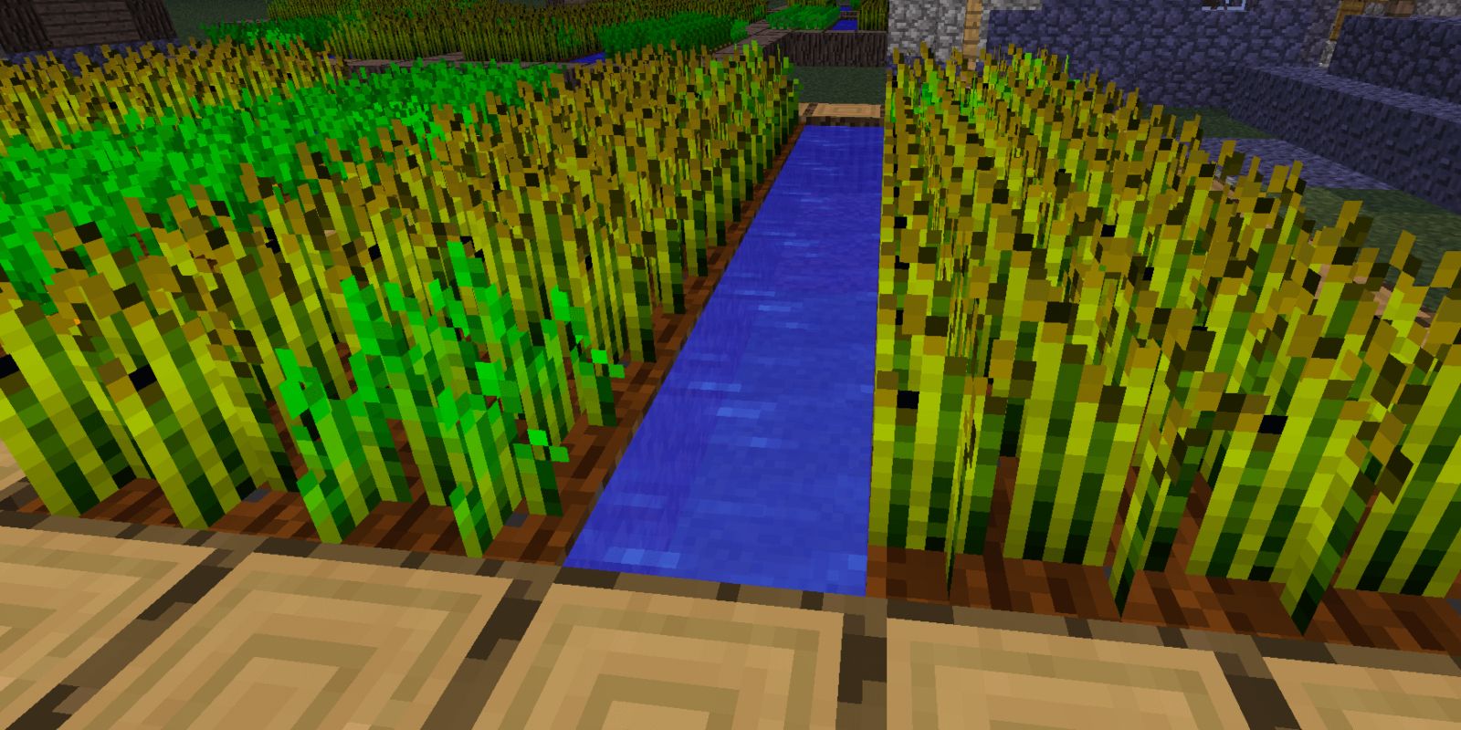 Minecraft Screenshot Of  Wheat Farm