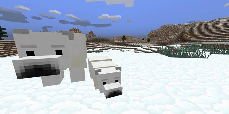 Minecraft 10 Things You Didn T Know About Polar Bears Thegamer