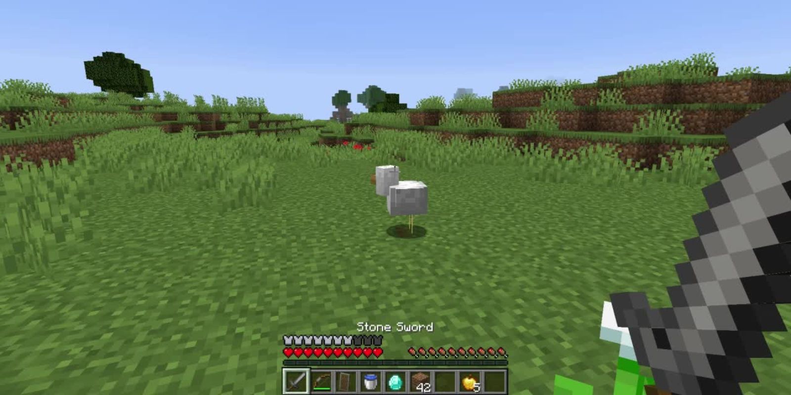 Minecraft Screenshot Of Stone Sword And Chicken