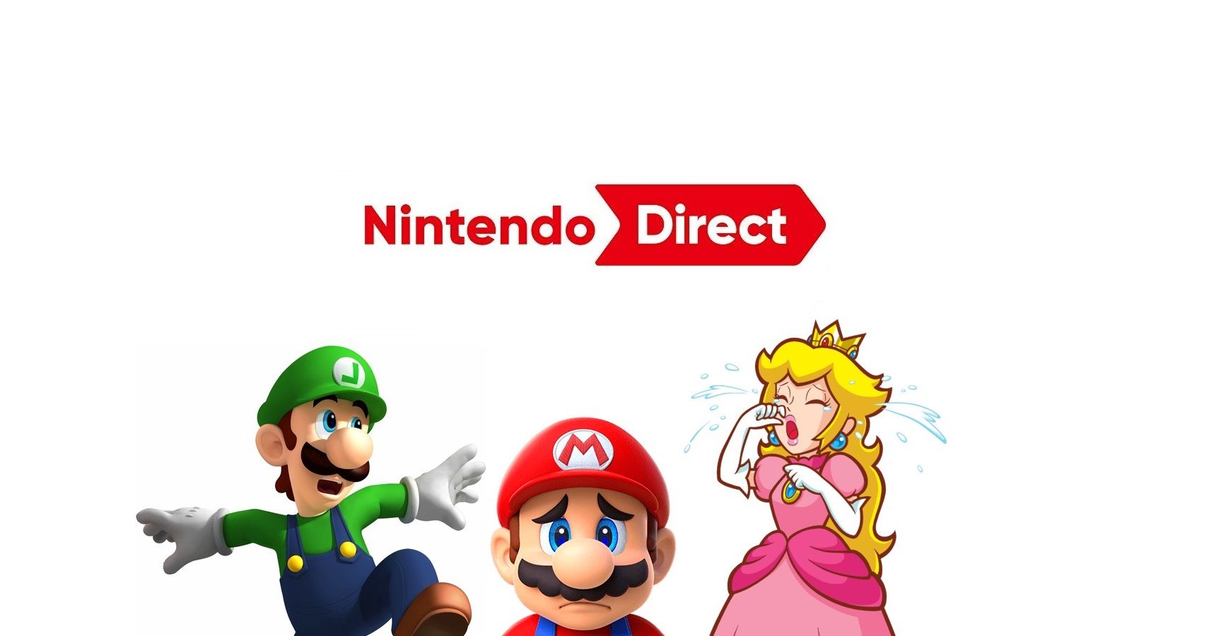 Nintendo Direct Fake Announcement