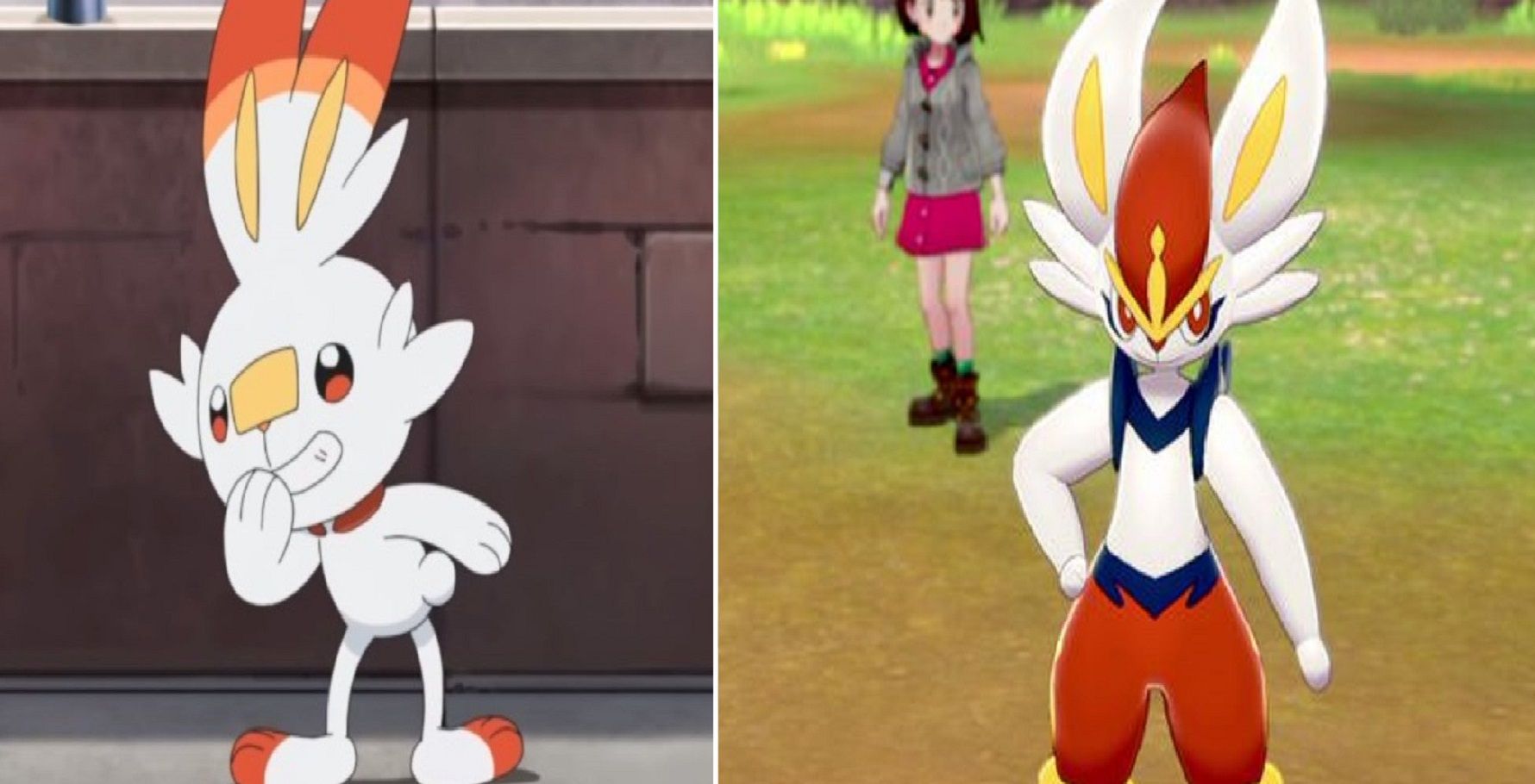 Scorbunny  Pokémon Sword e Pokémon Shield