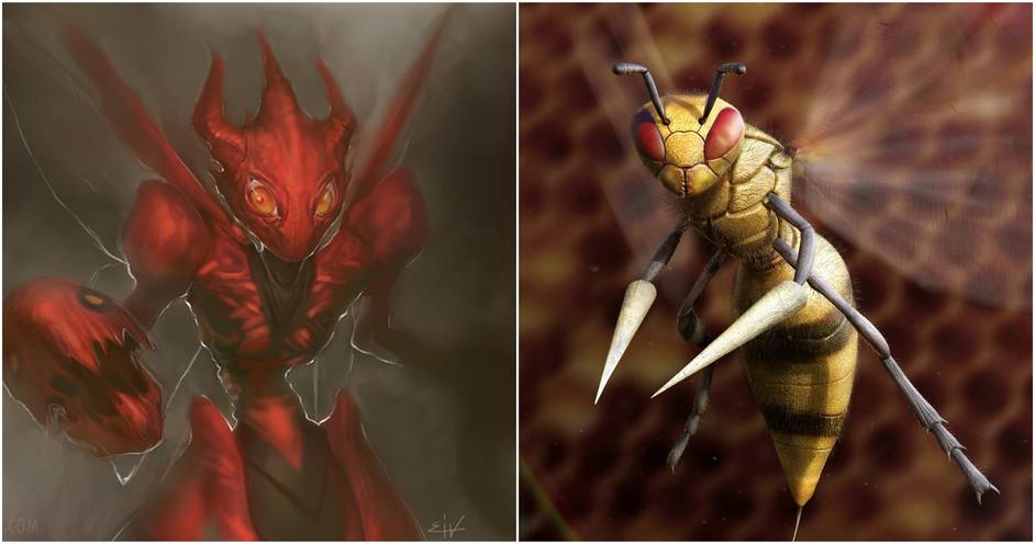Pokemon 10 Pieces Of Bug Fanart We Love Pokemon 10 Pieces Of Bug Fanart We Love