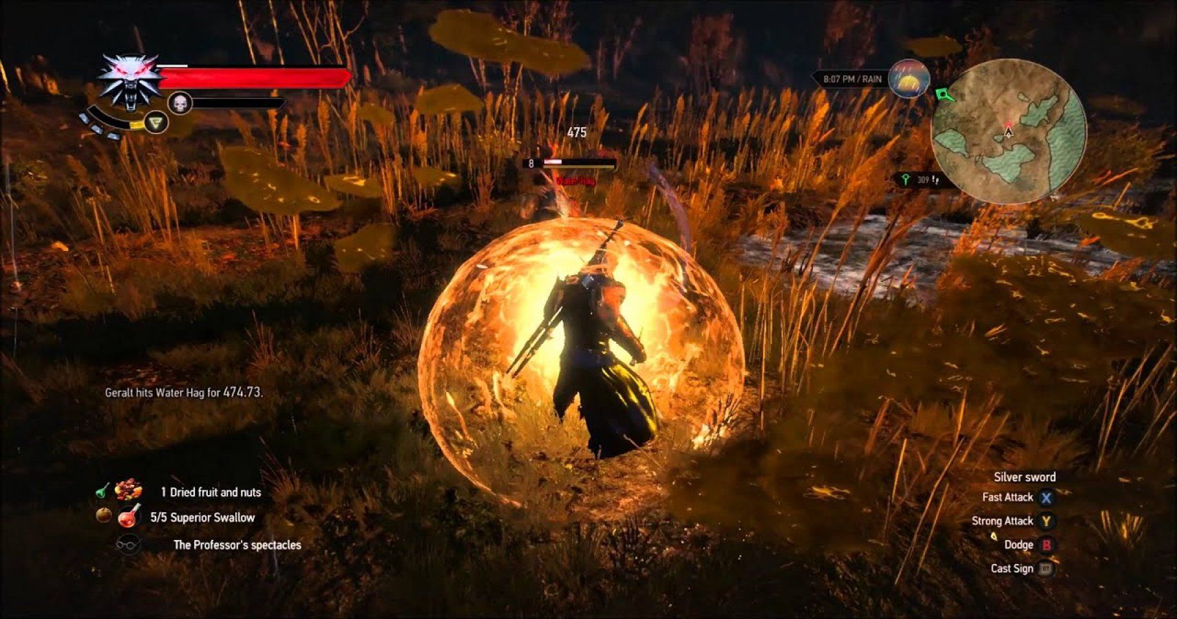 the witcher 2 for a higher cause